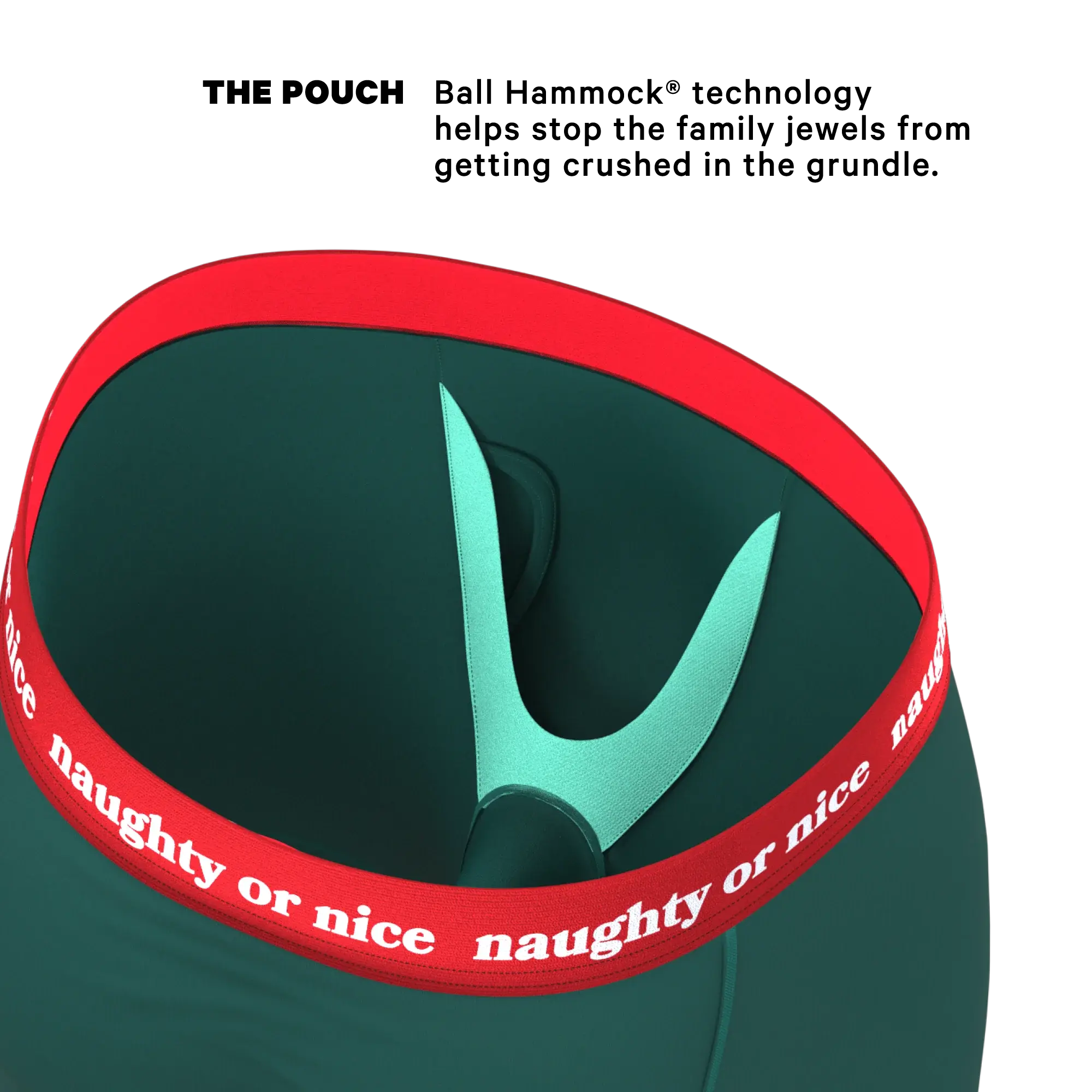 The Nice List | Flirty Waistband Long Leg Ball Hammock® Pouch Underwear With Fly - Shinesty - Flyclothing LLC