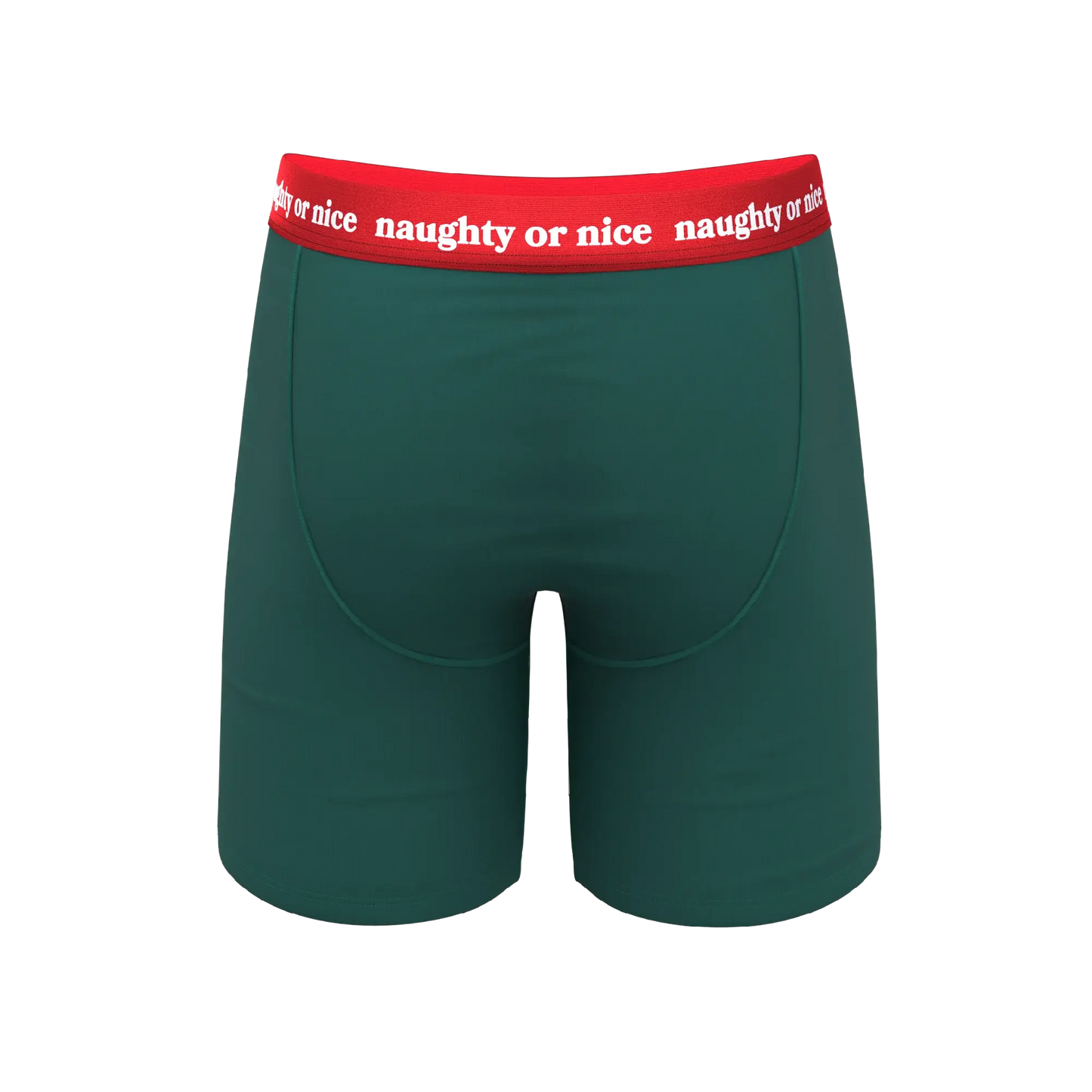 The Nice List | Flirty Waistband Long Leg Ball Hammock® Pouch Underwear With Fly - Shinesty - Flyclothing LLC