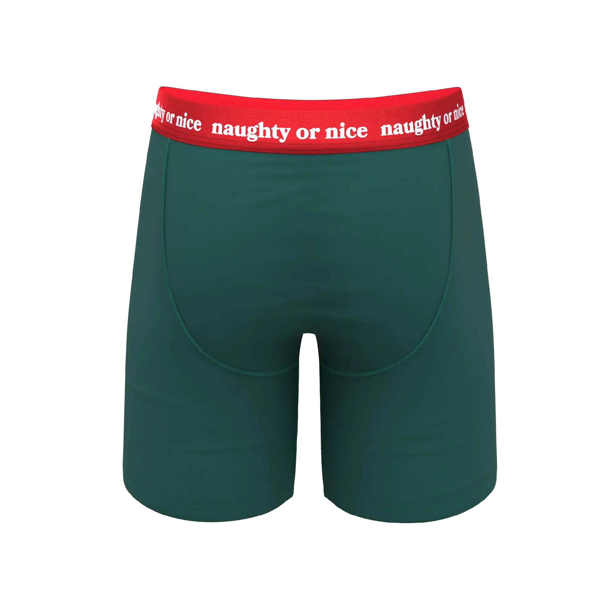 The Nice List | Flirty Waistband Long Leg Ball Hammock® Pouch Underwear With Fly - Shinesty - Flyclothing LLC