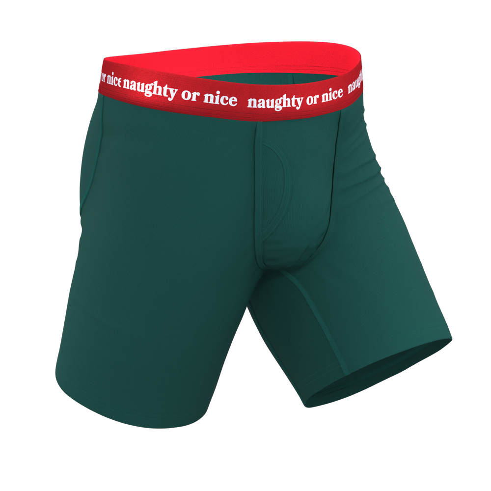 The Nice List | Flirty Waistband Long Leg Ball Hammock® Pouch Underwear With Fly - Shinesty - Flyclothing LLC