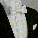 White Silk Self Bow Tie - Cufflinks.com - Flyclothing LLC