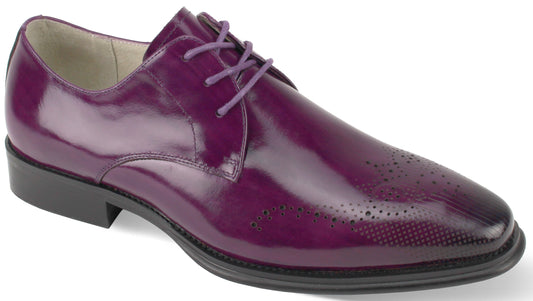 Giovanni Owen Purple Mens Shoe