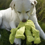 Octavie Octopus Knottie® Plush Dog Toy - HuggleHounds - Flyclothing LLC