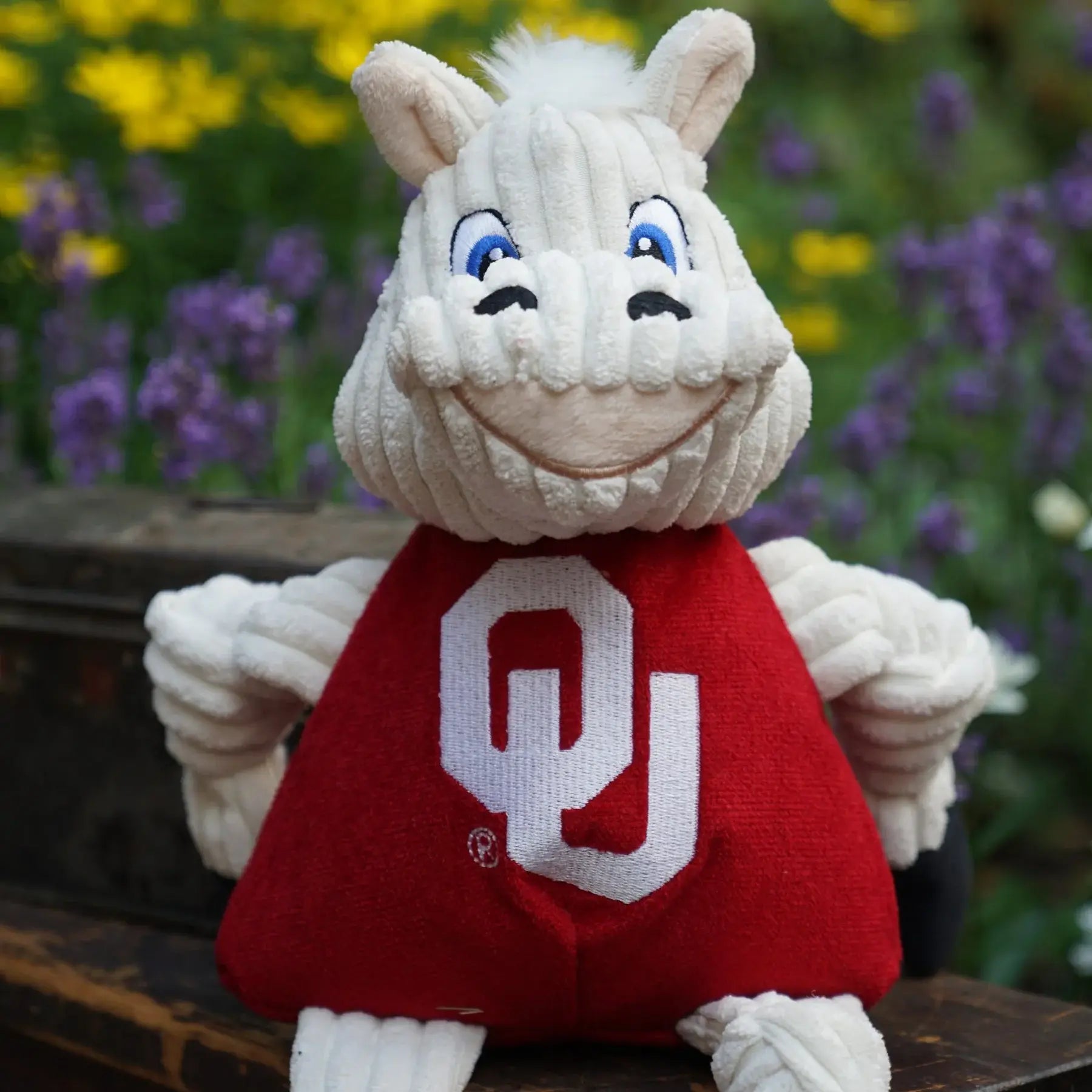 NCAA University of Oklahoma, Sooner Knottie® Plush Dog Toy - HuggleHounds - Flyclothing LLC