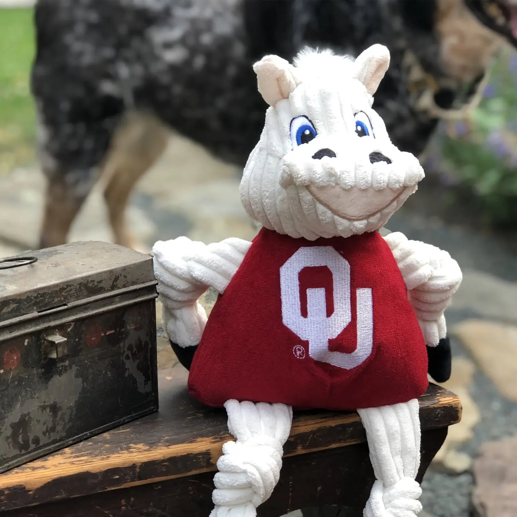NCAA University of Oklahoma, Sooner Knottie® Plush Dog Toy - HuggleHounds - Flyclothing LLC