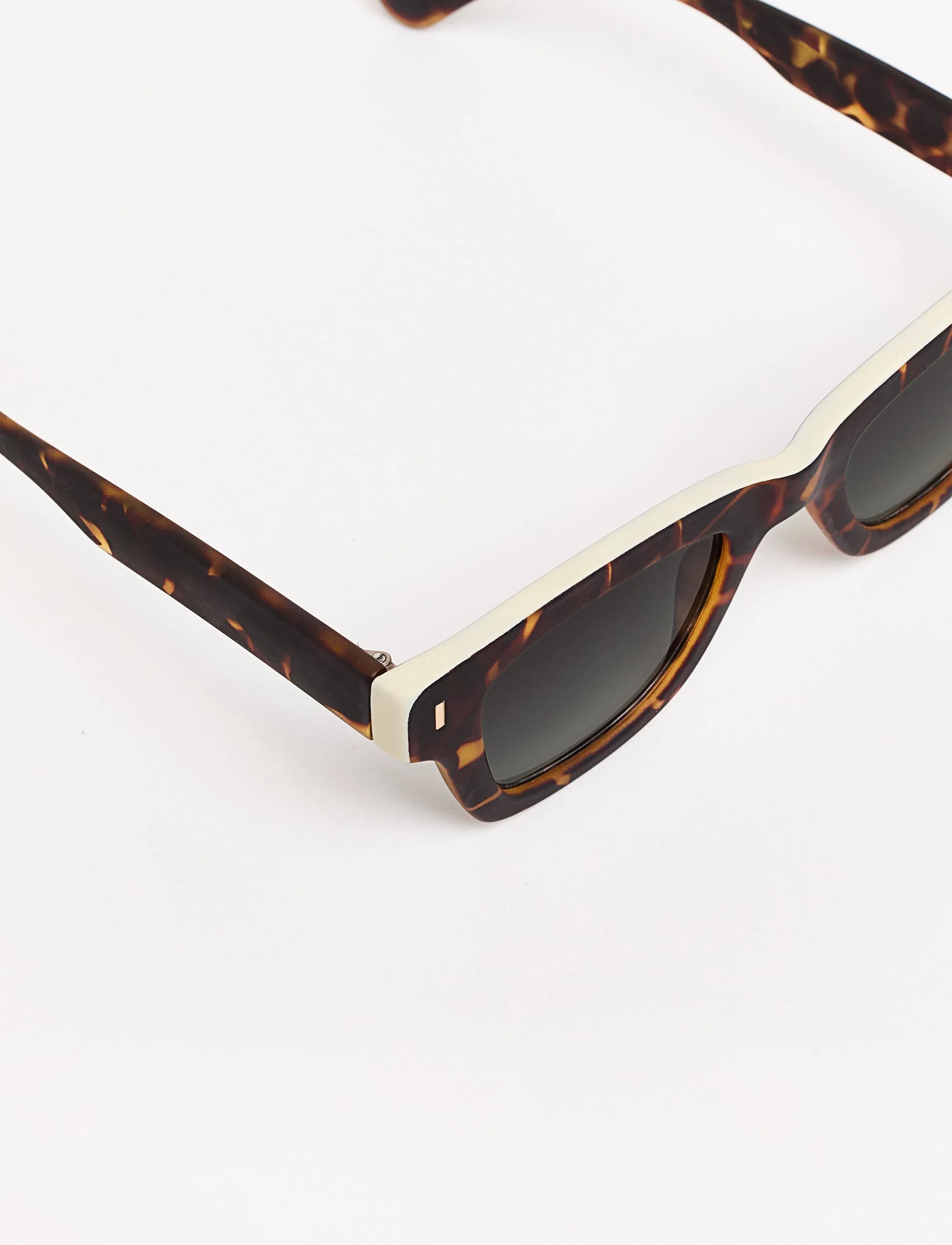 PAUL - TIWI USA - Flyclothing LLC