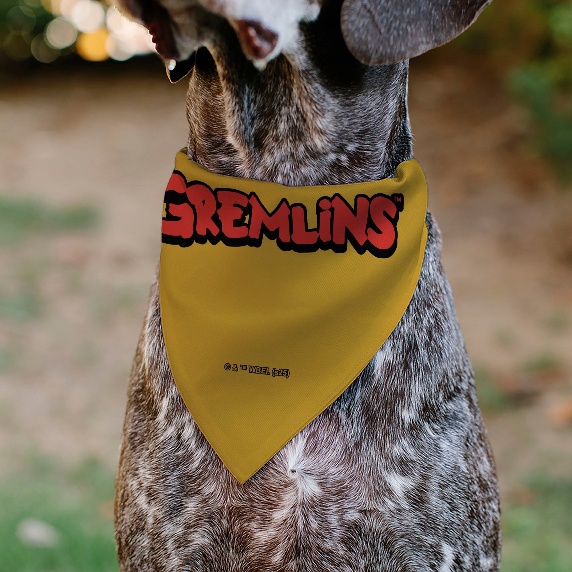 Pet Bandana - Stripe 84 Face and GREMLINS Title Logo
