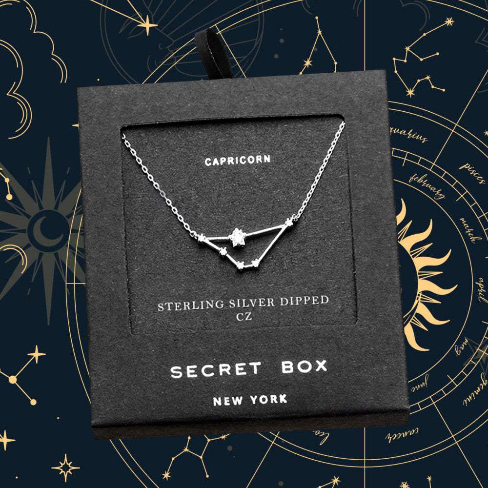 Secret Box _ Sterling Silver Dipped CZ Capricorn Zodiac Sign Pendant Necklace - Madeline Love - Flyclothing LLC