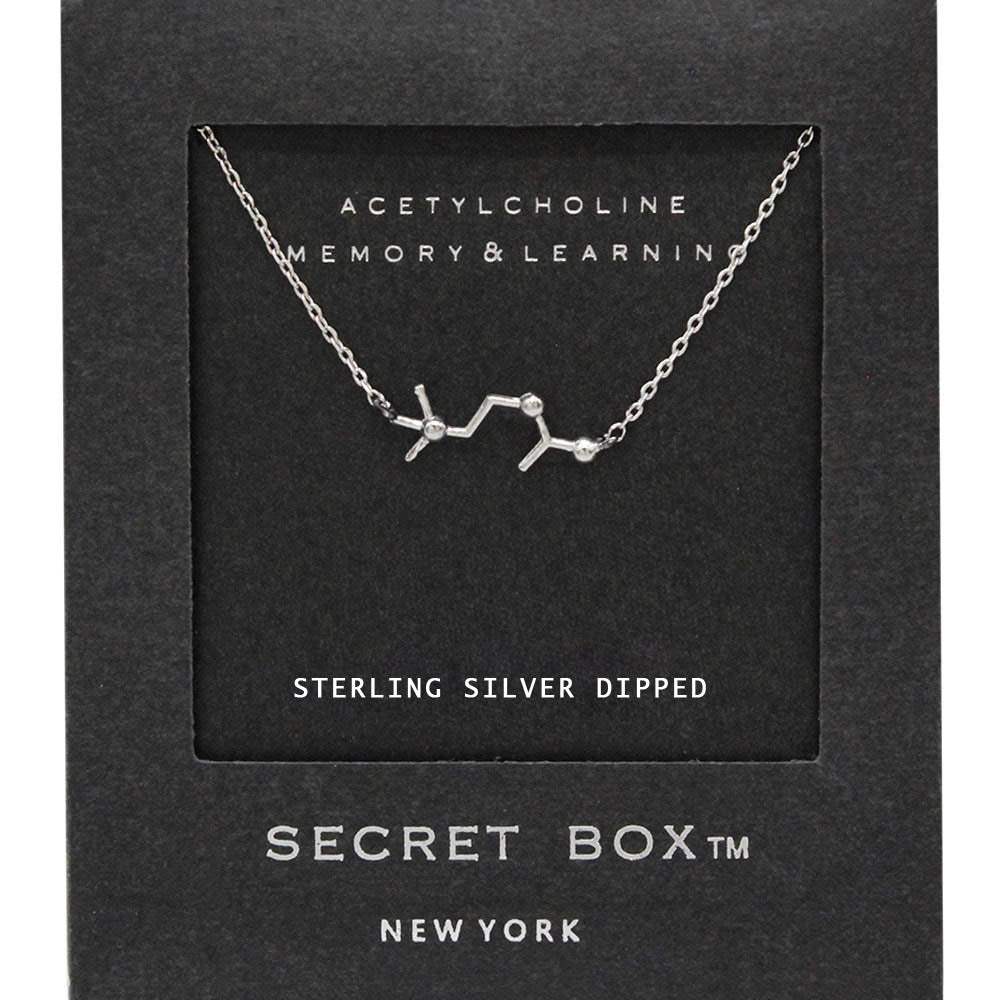 SECRET BOX_Sterling Silver Dipped Acetylcholine Hormone Molecule Necklace - Madeline Love - Flyclothing LLC