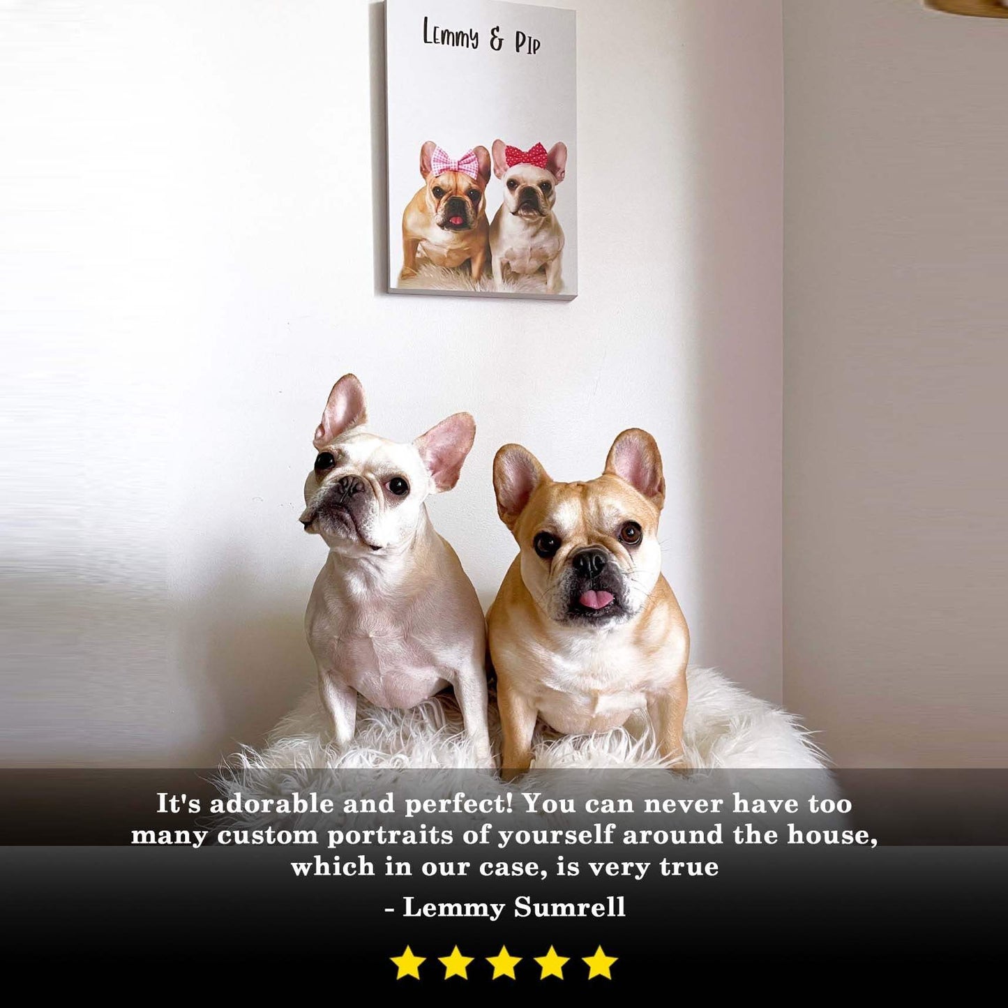 Pet Canvas Sign - Tailored Canvases - Flyclothing LLC