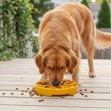 Sunflower Softie eTray Slow Feeder Dog Bowl | Soft Shallow Lick Mat | Yellow & Purple | USA Made - SodaPup/True Dogs, LLC - Flyclothing LLC