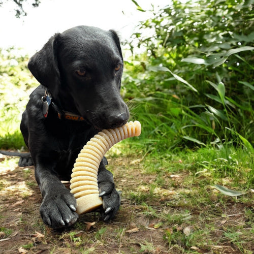 Flufflehorn Dental Antler - Durable Nylon Dog Chew Toy XL | USA Made - SodaPup/True Dogs, LLC - Flyclothing LLC
