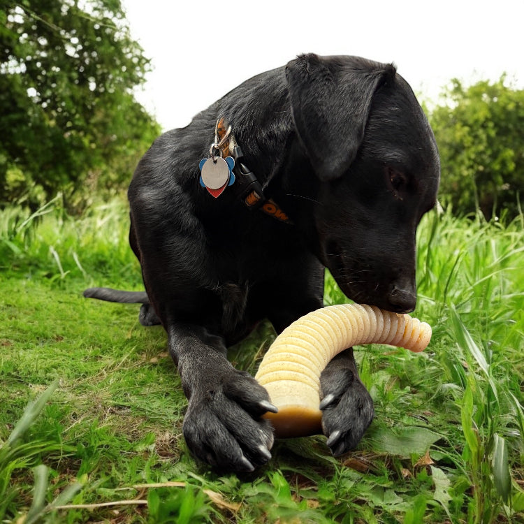 Flufflehorn Dental Antler - Durable Nylon Dog Chew Toy XL | USA Made - SodaPup/True Dogs, LLC - Flyclothing LLC
