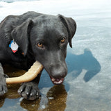 Hockey Stick Nylon Dog Chew Toy - Ultra-Durable for Aggressive Chewers USA - SodaPup/True Dogs, LLC - Flyclothing LLC