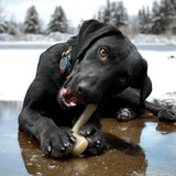 Hockey Stick Nylon Dog Chew Toy - Ultra-Durable for Aggressive Chewers USA - SodaPup/True Dogs, LLC - Flyclothing LLC