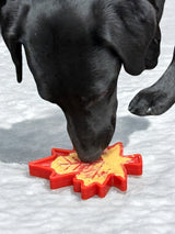Canadian Maple Leaf Nylon Dog Chew Toy - Durable & USA Made - SodaPup/True Dogs, LLC - Flyclothing LLC