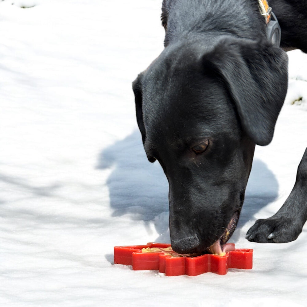 Canadian Maple Leaf Nylon Dog Chew Toy - Durable & USA Made - SodaPup/True Dogs, LLC - Flyclothing LLC