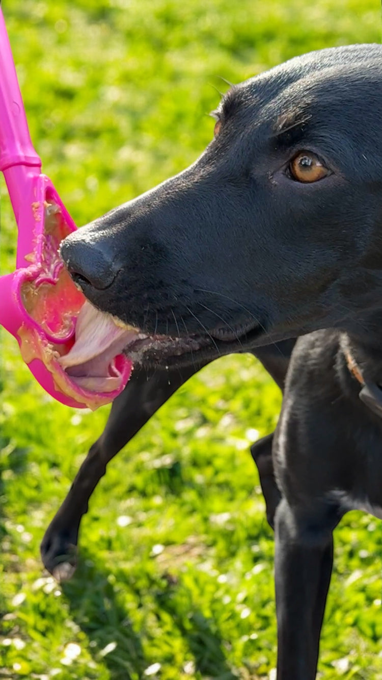 eStick Hand-Held Dog Enrichment Target Training Toy - Interactive Lick Stick | USA Made - SodaPup/True Dogs, LLC - Flyclothing LLC