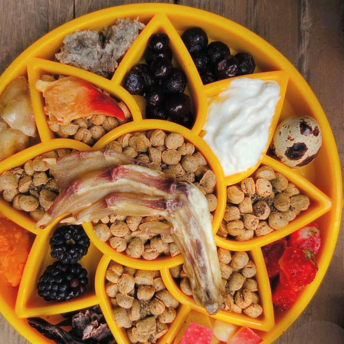 Sunflower eTray Shallow Slow Feeder Dog Bowl for Enrichment | USA Made - SodaPup/True Dogs, LLC - Flyclothing LLC
