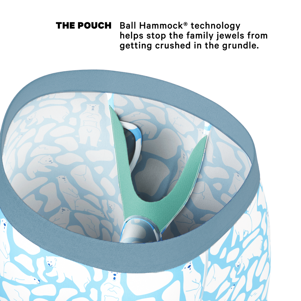 The Polar Polka | Polar Bear Scene Long Leg Ball Hammock® Pouch Underwear With Fly - Shinesty - Flyclothing LLC