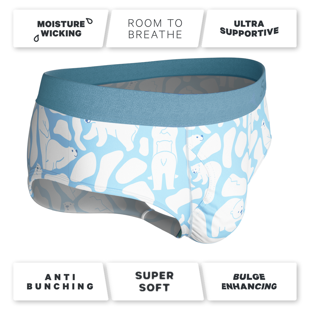 The Polar Polka | Polar Bear Scene Ball Hammock® Pouch Underwear Briefs - Shinesty - Flyclothing LLC