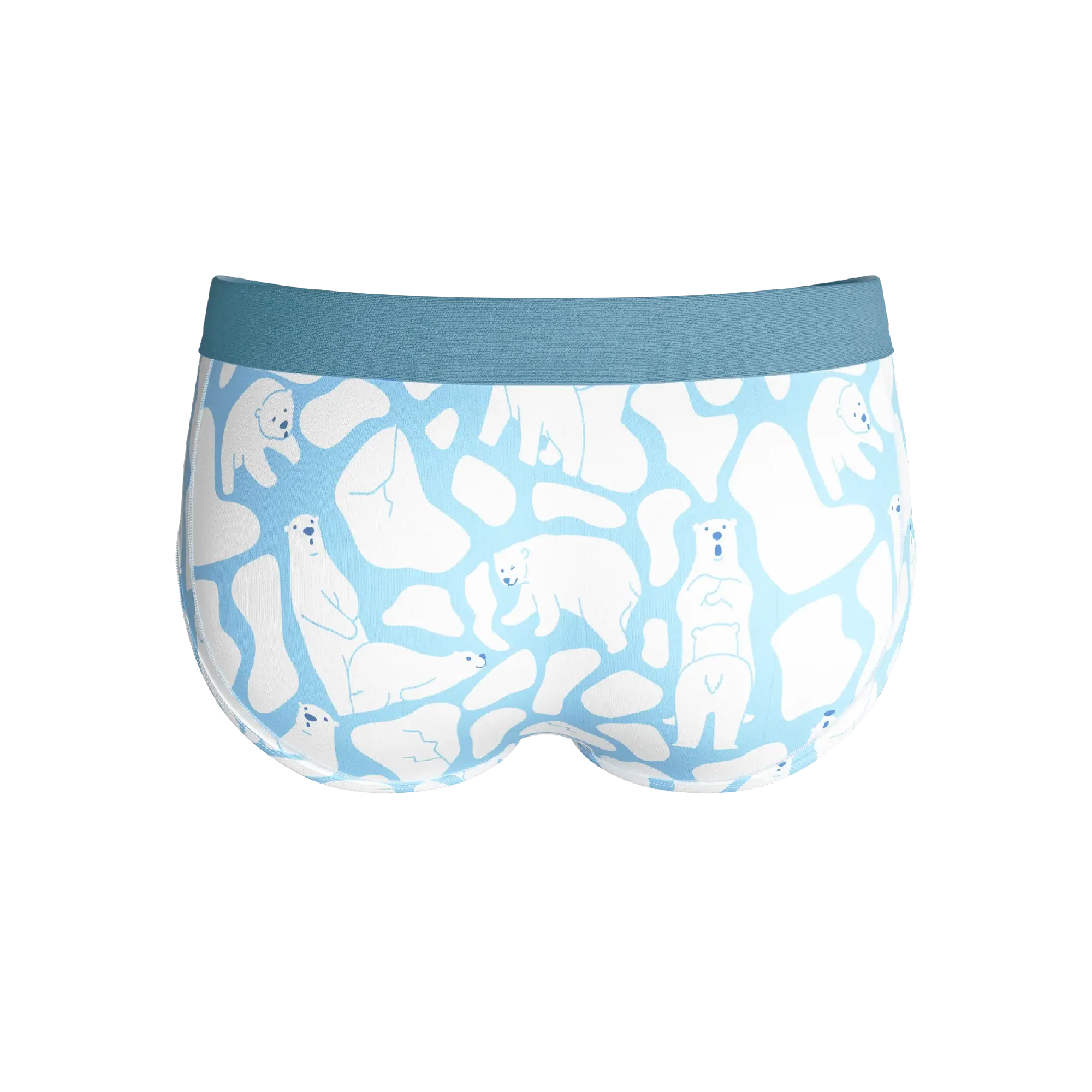 The Polar Polka | Polar Bear Scene Ball Hammock® Pouch Underwear Briefs - Shinesty - Flyclothing LLC