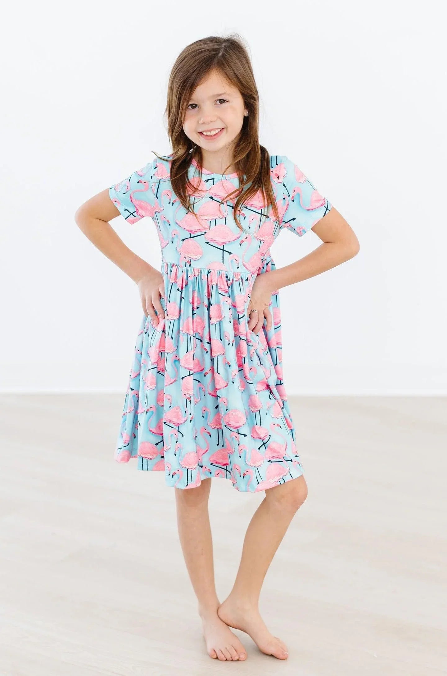 Pretty in Pink Flamingos S/S Pocket Twirl Dress - Mila & Rose ® - Flyclothing LLC