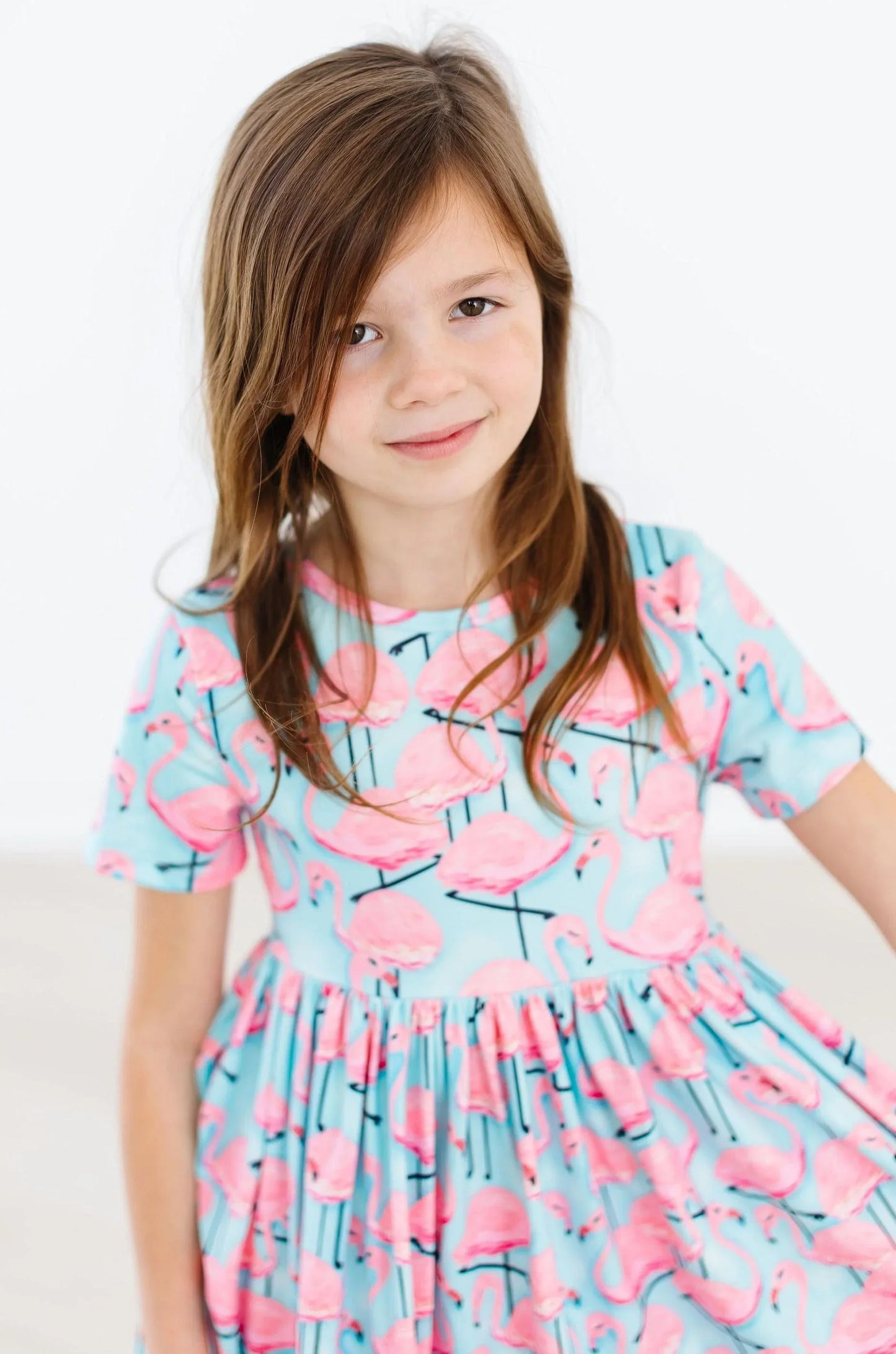 Pretty in Pink Flamingos S/S Pocket Twirl Dress - Mila & Rose ® - Flyclothing LLC