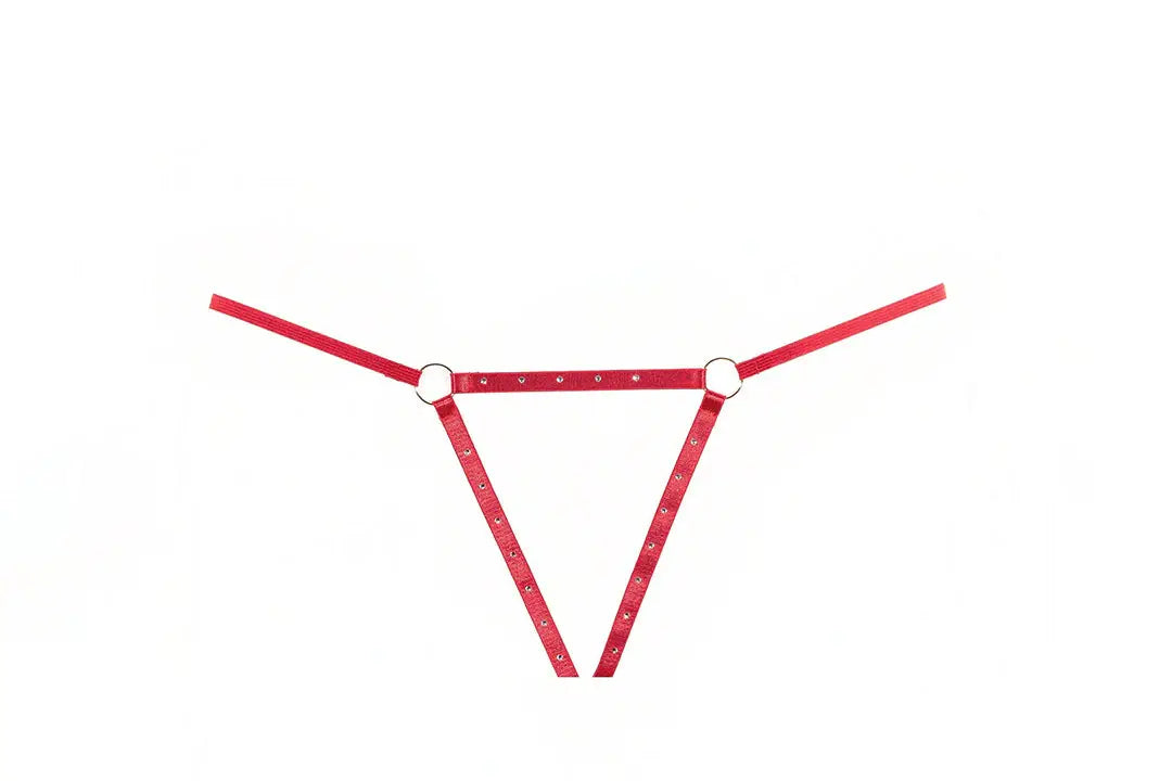Allure Lingerie Ashley Garter & Panty Set - Allure Lingerie - Flyclothing LLC