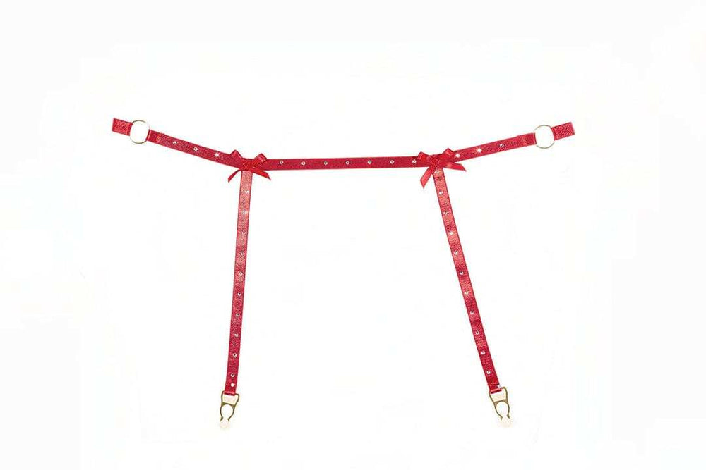 Allure Lingerie Ashley Garter & Panty Set - Allure Lingerie - Flyclothing LLC