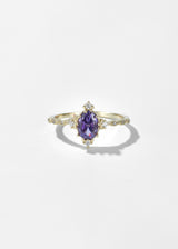 Amethyst Ring - Wimsico - Flyclothing LLC