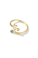 Zodiac Ring - Wimsico - Flyclothing LLC