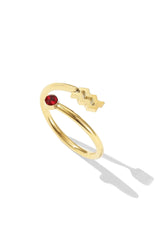 Zodiac Ring - Wimsico - Flyclothing LLC
