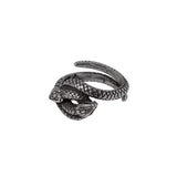 Consprimus Ring - Alchemy of England - Flyclothing LLC