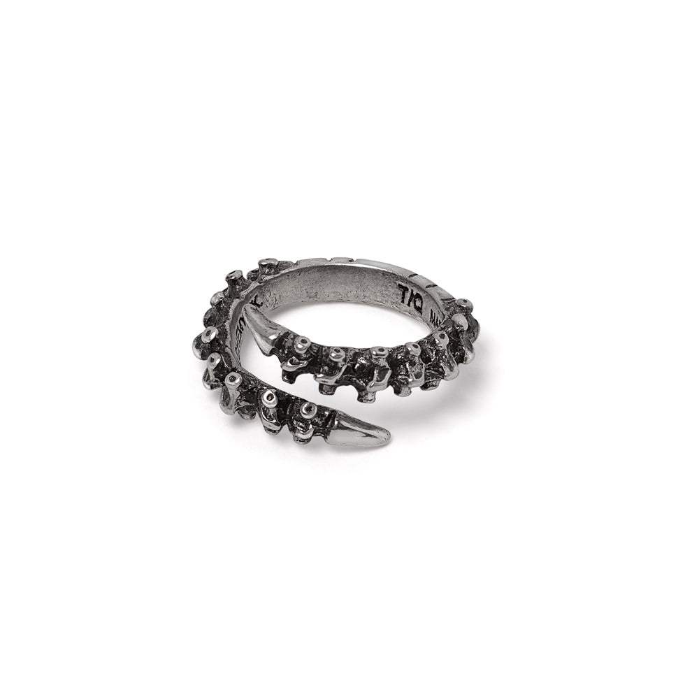 Spine Ring