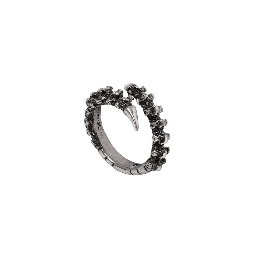 Spine Ring