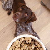 Beef Dog Food Topper - West Paw - Flyclothing LLC