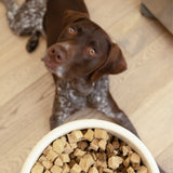 Chicken Dog Food Topper - West Paw - Flyclothing LLC