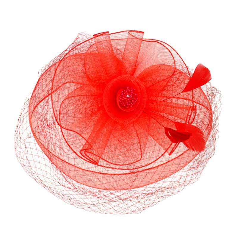 Feather Mesh Flower Fascinator Headband - Madeline Love - Flyclothing LLC