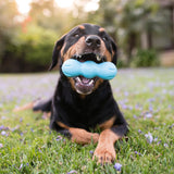 Rumpus - West Paw - Flyclothing LLC