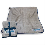 Asheville Tourists Frosty Fleece - Logo Brands - Flyclothing LLC