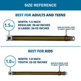 BD Wings Logo CLOSE-UP Full Color Black Silver Seatbelt Belt - Stripe Black/Gold Webbing - Buckle-Down - Flyclothing LLC