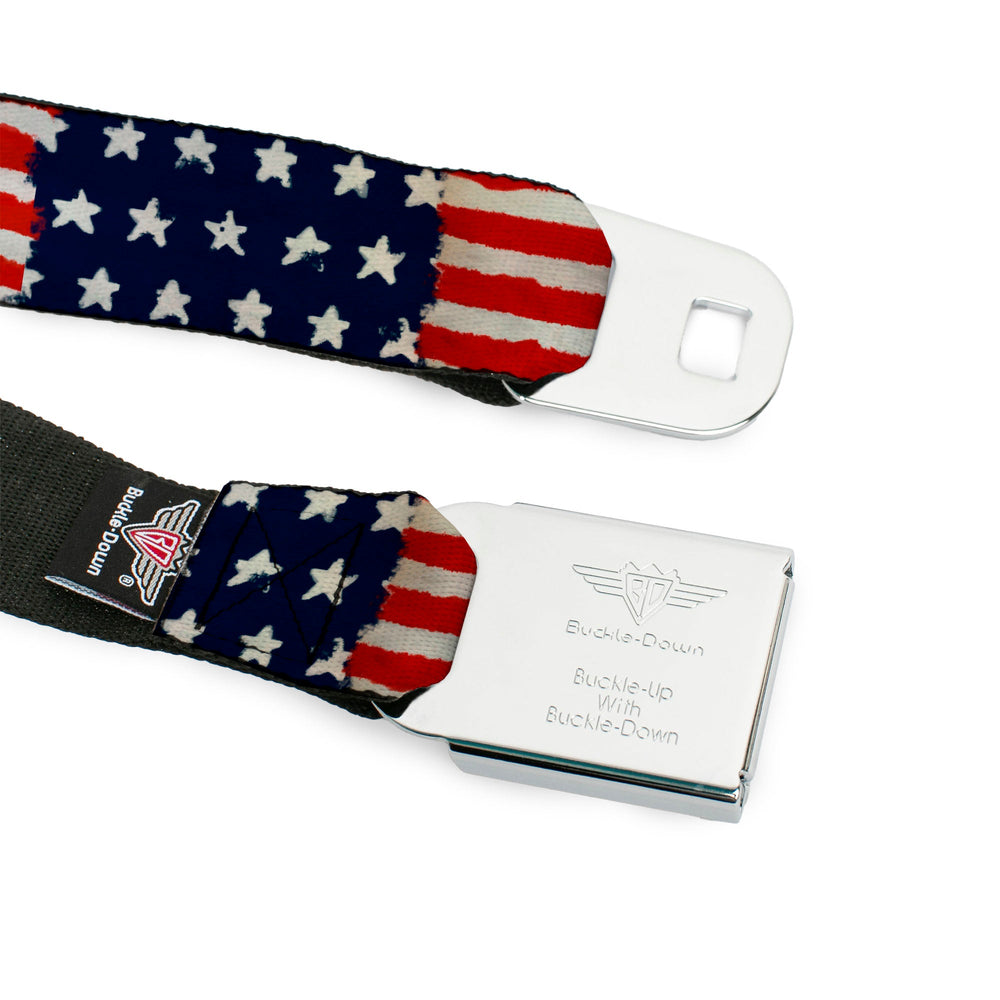 BD Wings Logo CLOSE-UP Full Color Black Silver Seatbelt Belt - Stars & Stripes Painting Webbing - Buckle-Down - Flyclothing LLC