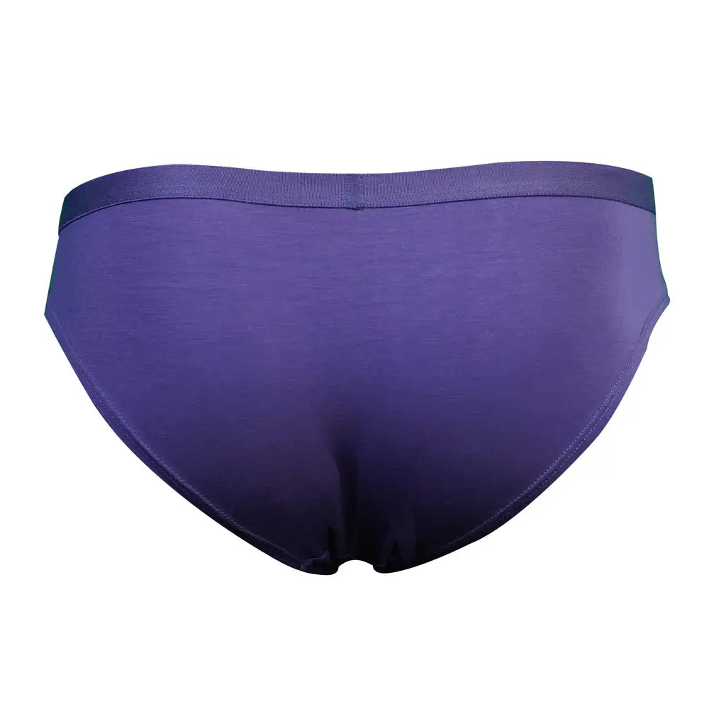 SHEATH Women's Bamboo Bikini Briefs - SHEATH UNDERWEAR - Flyclothing LLC