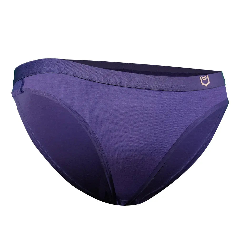 SHEATH Women's Bamboo Bikini Briefs - SHEATH UNDERWEAR - Flyclothing LLC