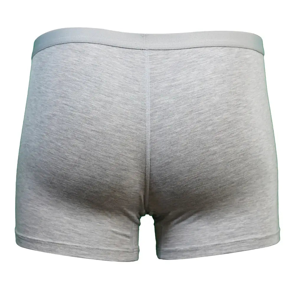 SHEATH Women's Bamboo Boxer Brief - SHEATH UNDERWEAR - Flyclothing LLC