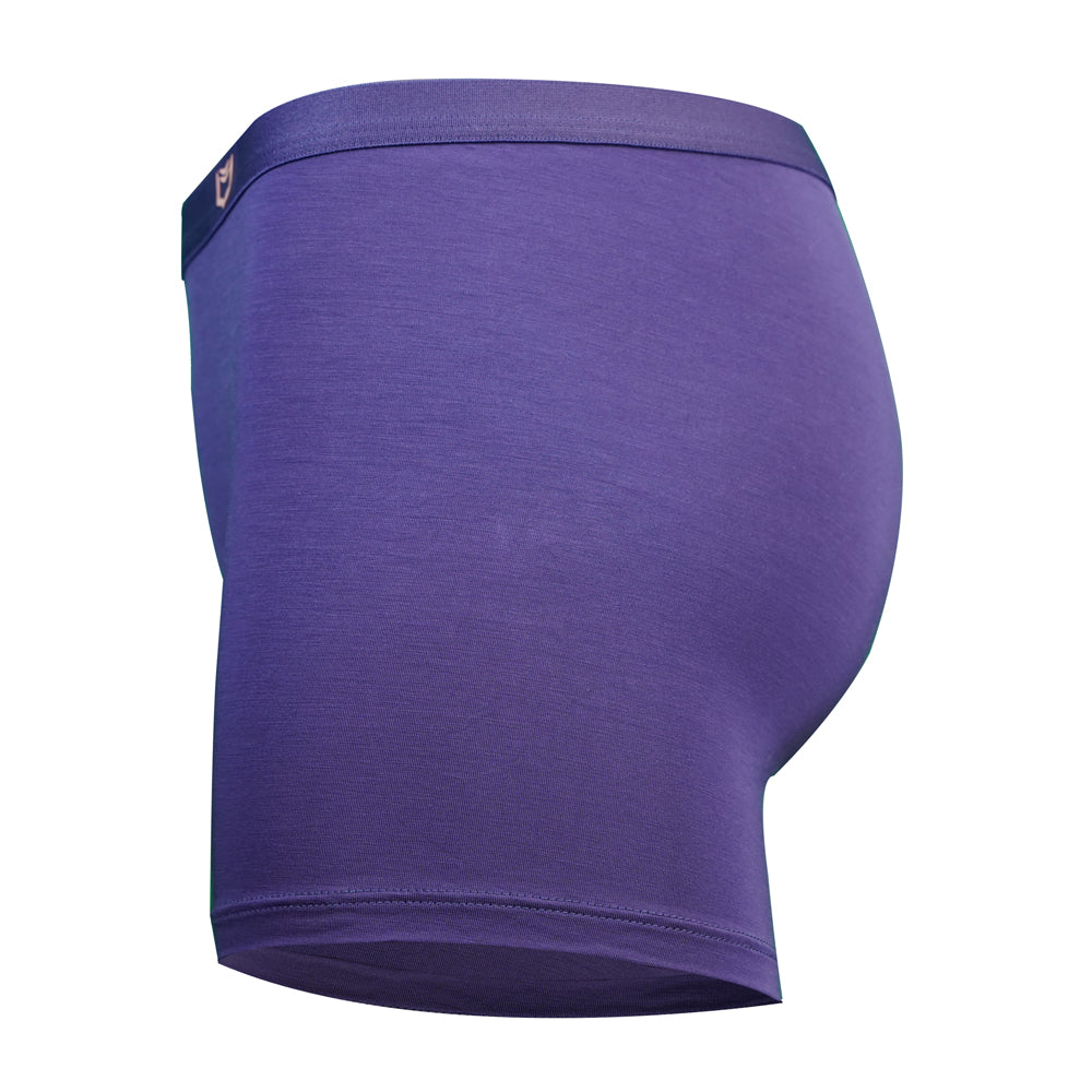 SHEATH Women's Bamboo Boxer Brief - SHEATH UNDERWEAR - Flyclothing LLC