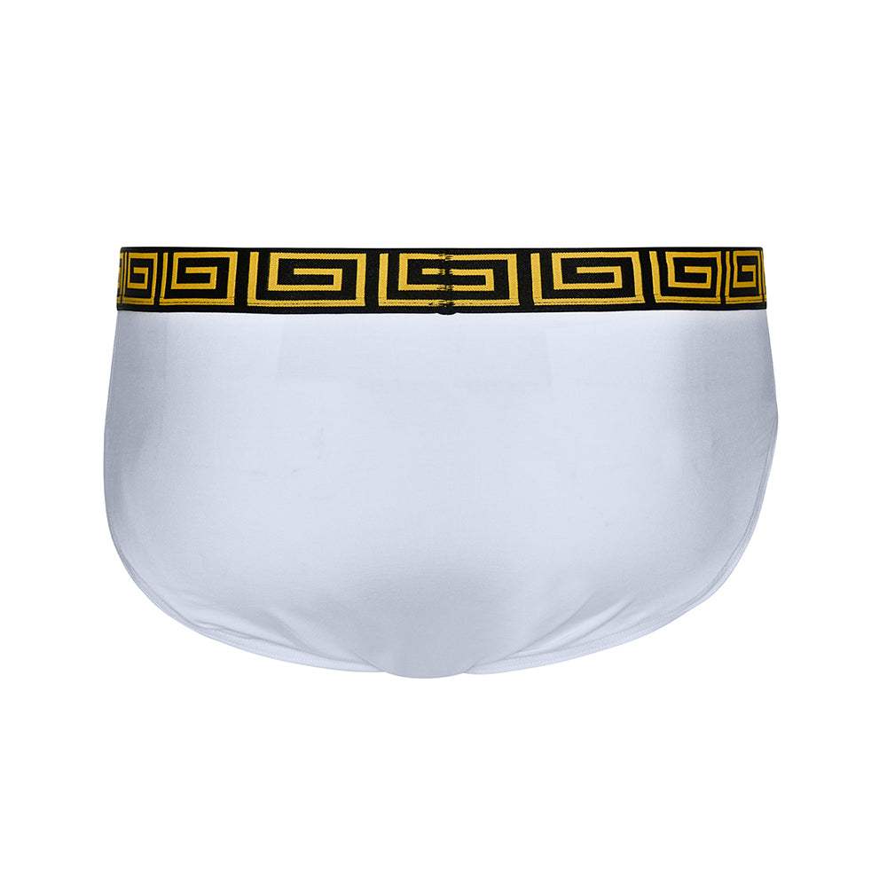 SHEATH Modal Men's Pouch European Brief - SHEATH UNDERWEAR - Flyclothing LLC