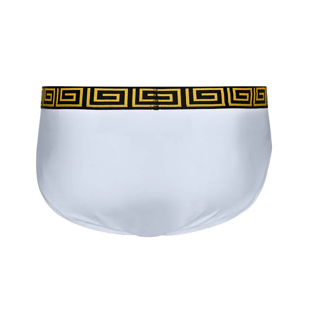 SHEATH Modal Men's Pouch European Brief - SHEATH UNDERWEAR - Flyclothing LLC