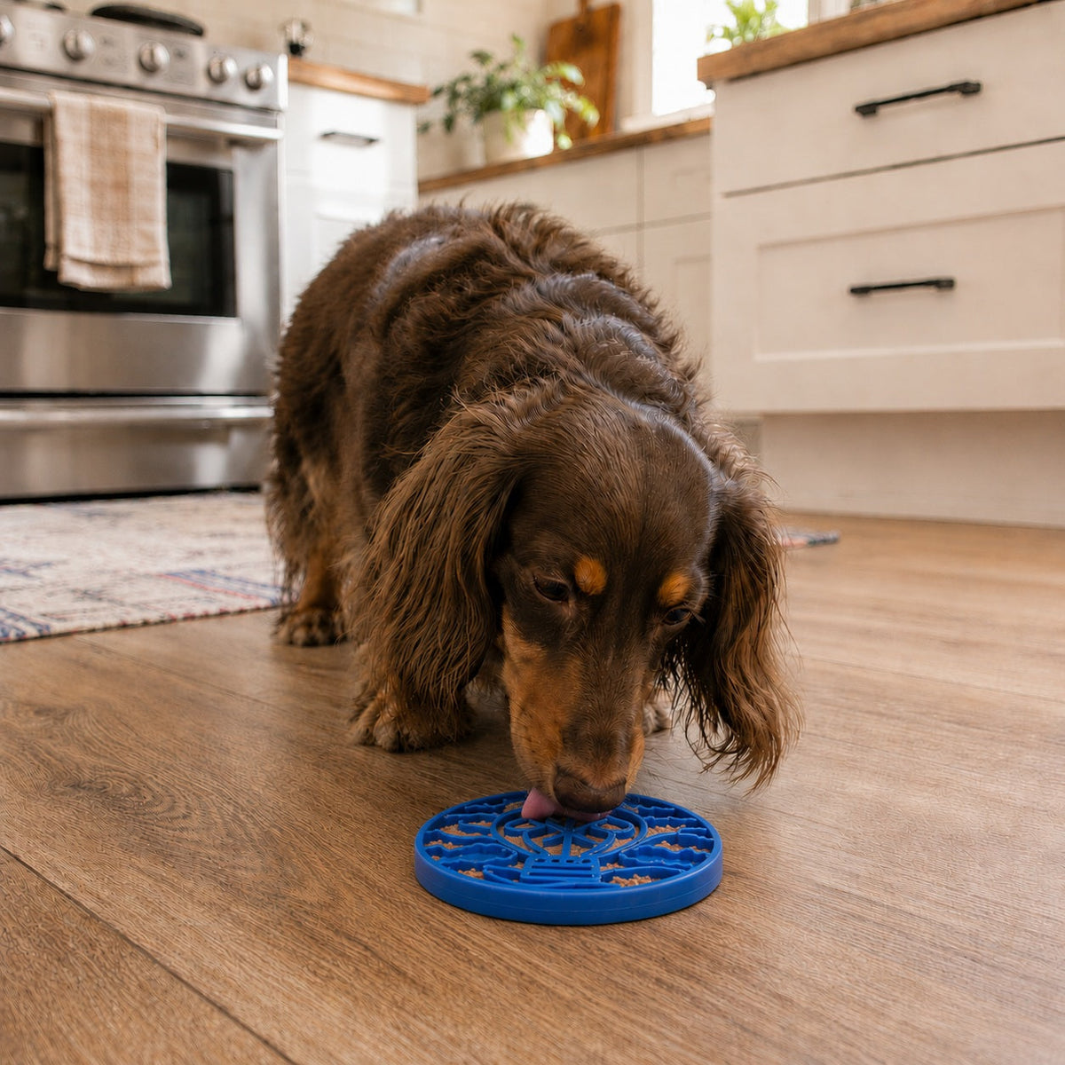 Air Nylon eCoin Lick Mat for Dogs - Durable Enrichment Toy | SodaPup - SodaPup/True Dogs, LLC - Flyclothing LLC